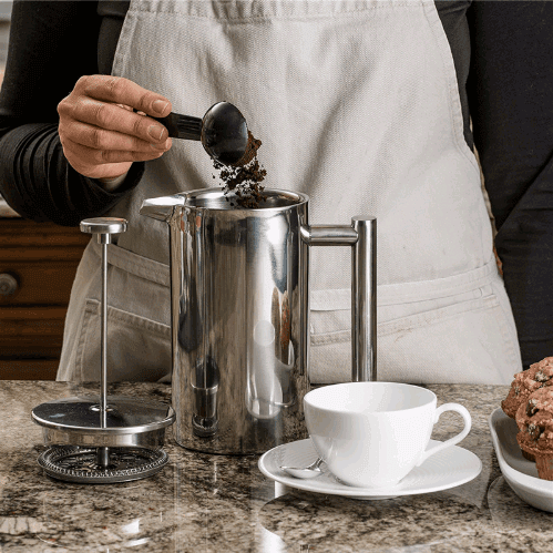 Stainless French Press Pot