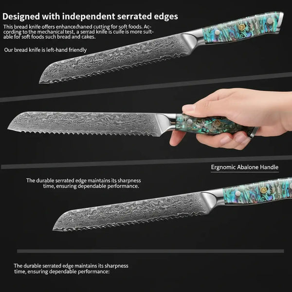 8 Inch Damascus Bread Knife  67-Layer Steel, Abalone Shell Handle