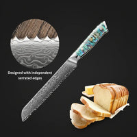 8 Inch Damascus Bread Knife  67-Layer Steel, Abalone Shell Handle