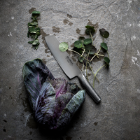 GLOBAL Vegetable Knife 18cm (7") – CROMOVA 18 Stainless Steel Precision Blade